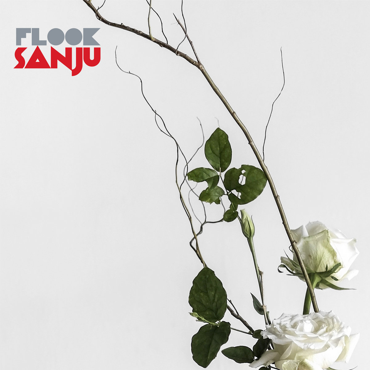 Sanju by Flook